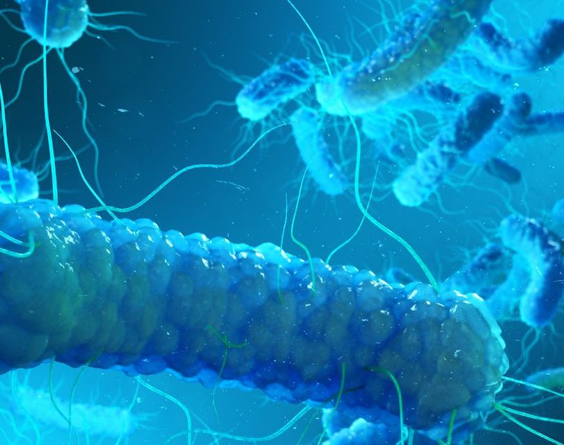 Hidden threats in closed-loop water systems are increasing legionella risk