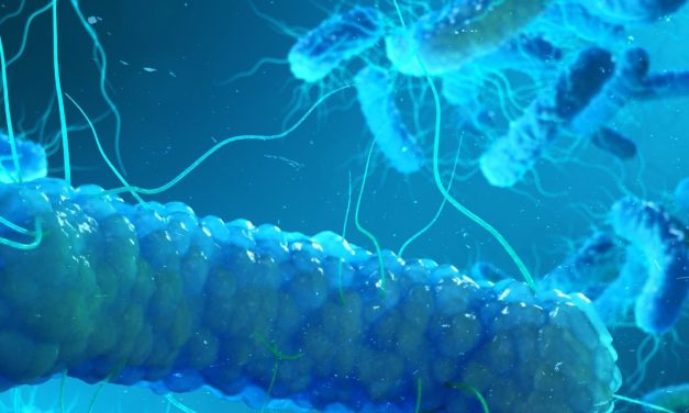 Water managers urged to prioritise water safety amid London Legionella outbreak