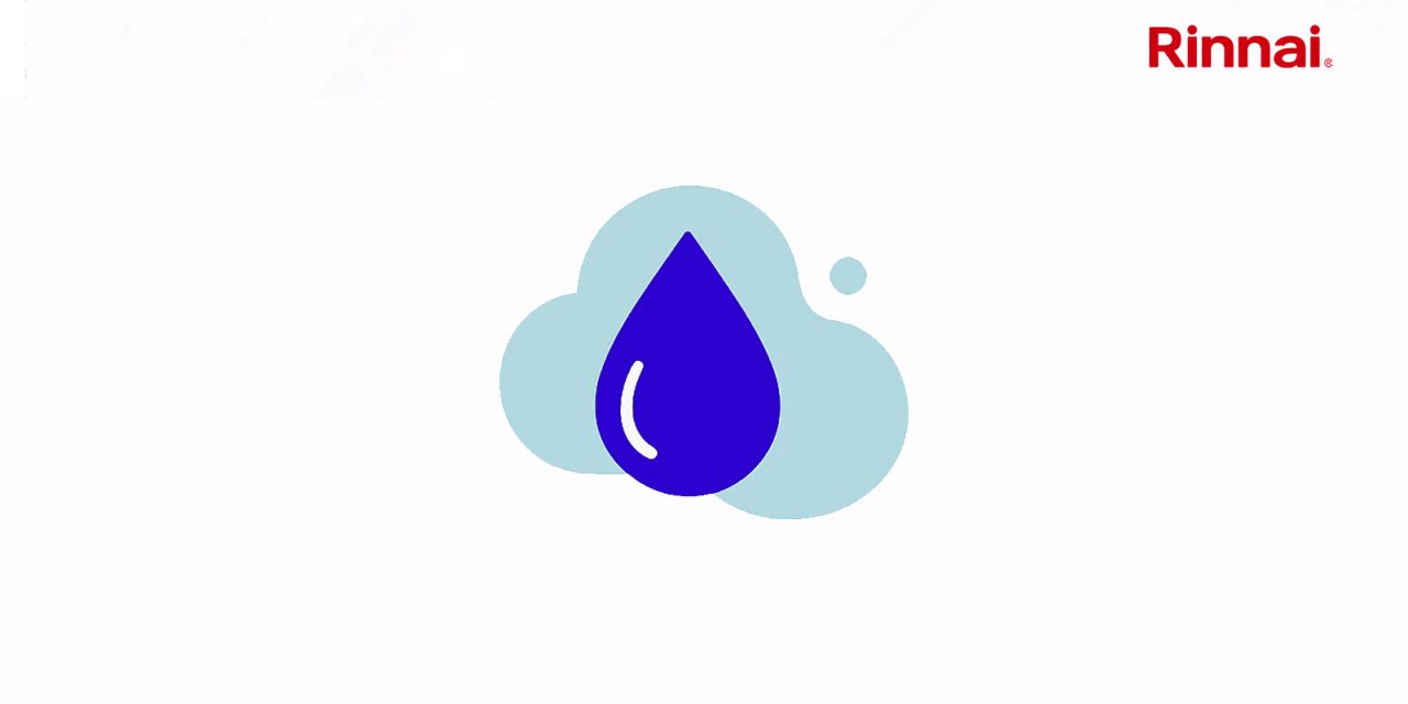 Rinnai Decarbonising Hot Water: The Continuing Role of Natural Gas