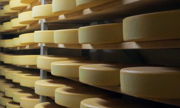 Butlers Farmhouse Cheeses still feeling the heat nearly three years after devastating fire