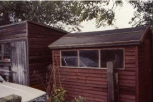 shed Titon reaches golden milestone