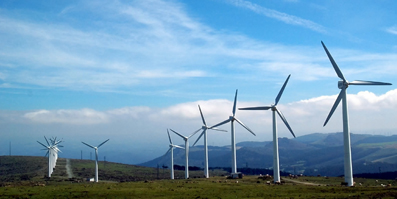 Renewables had a great year, according to NAPIT